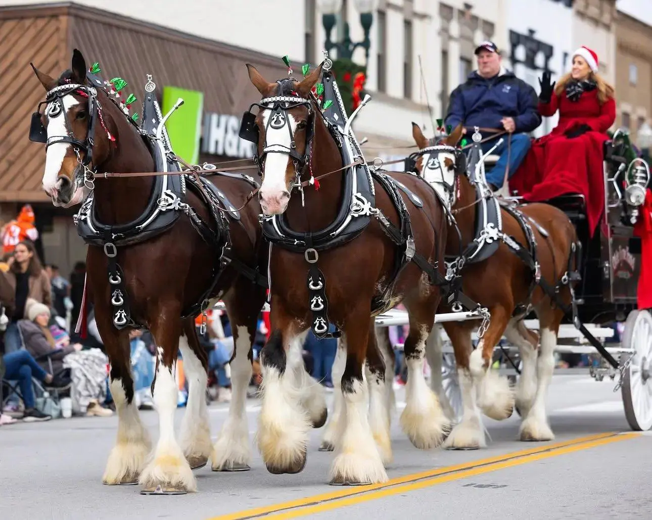 BG Community Holiday Parade (1)