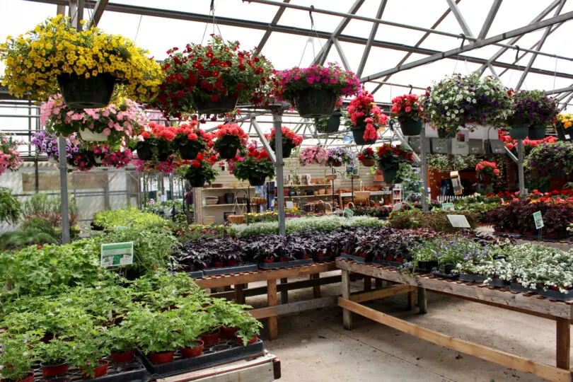 Earth Day in BG 2021